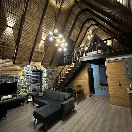 Villa Argaliya Mountain Trabzon